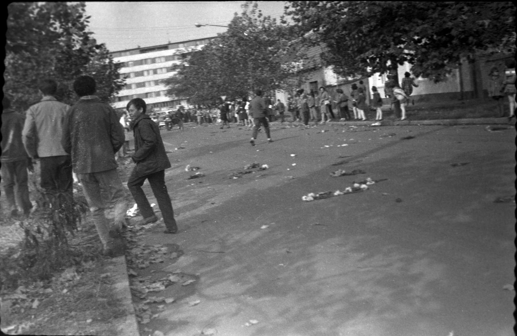 Up the street. Lesnina is the building in the back.
